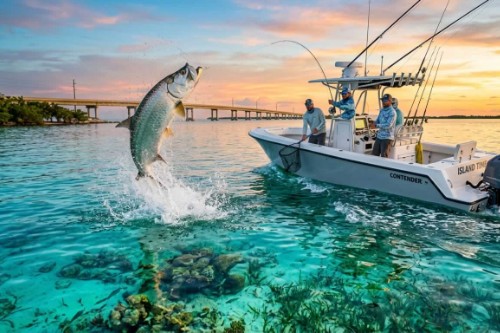 Florida Keys Pesca