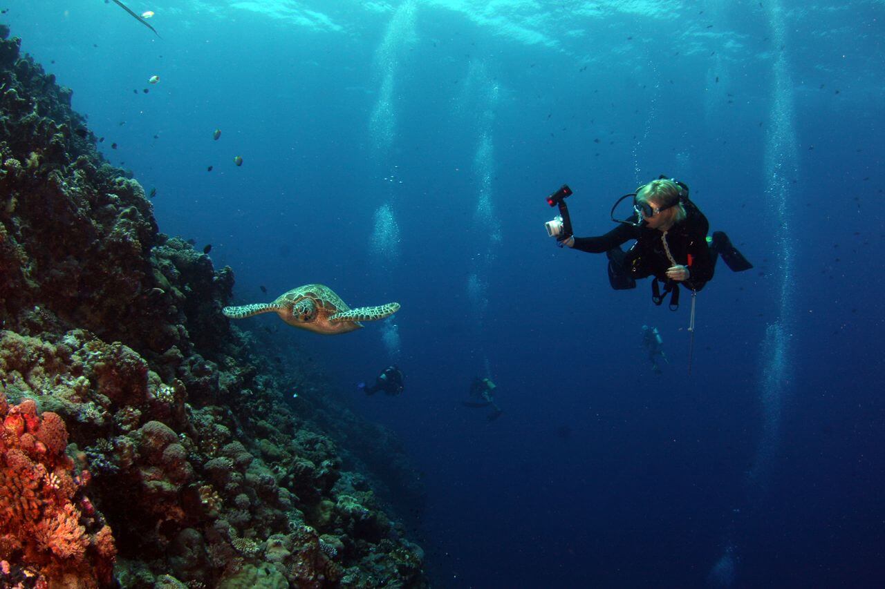 Mergulho e snorkeling: descubra as maravilhas do mundo subaquático
